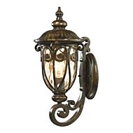 Logansport 1-Light Outdoor Wall Sconce in Hazelnut Bronze