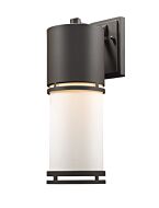 Z-Lite Luminata 1-Light Outdoor Wall Sconce In Deep Bronze