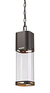 Z-Lite Lestat 1-Light Outdoor Chain Mount Ceiling Fixture Light In Deep Bronze