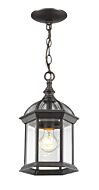 Z-Lite Annex 1-Light Outdoor Chain Mount Ceiling Fixture Light In Rust