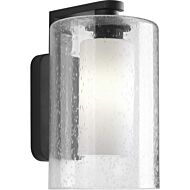 Compel 1-Light Wall Lantern in Black