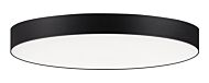 Maxim Trim Ceiling Light in Black