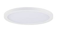 Chip 1-Light LED Flush Mount in White