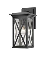 Z-Lite Brookside 1-Light Outdoor Wall Sconce In Black