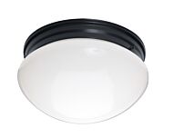 Essentials - 588x 2-Light Flush Mount in Black