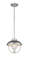 Z-Lite Ansel 1-Light Outdoor Pendant Light In Galvanized