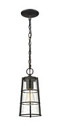 Z-Lite Helix 1-Light Outdoor Chain Mount Ceiling Fixture Light In Black