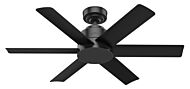 Kennicott 44" Ceiling Fan in Matte Black