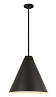 Z-Lite Eaton 1-Light Pendant Light In Matte Black