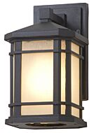 DVI Cardiff Outdoor 1-Light Outdoor Wall Sconce in Black