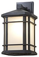 DVI Cardiff Outdoor 1-Light Outdoor Wall Sconce in Black