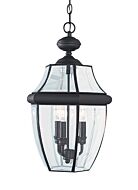 Lancaster 3-Light Outdoor Pendant in Black