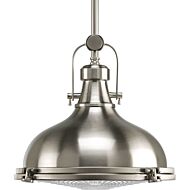 Fresnel Pendant LED 1-Light LED Pendant in Brushed Nickel