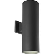 LED Cylinders 2-Light LED Cylinder in Black