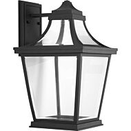 Endorse LED 1-Light LED Wall Lantern in Black