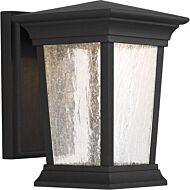 Arrive LED 1-Light LED Wall Lantern in Black