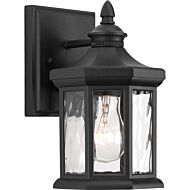 Edition 1-Light Wall Lantern in Black