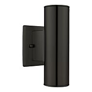 Riga 2-Light Outdoor Wall Mount in Matte Black