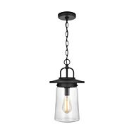 Tybee 1-Light Outdoor Pendant in Black