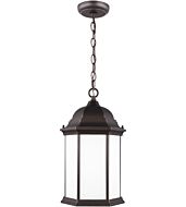 Sea Gull Sevier Outdoor Hanging Light in Antique Bronze