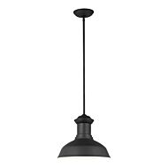 Fredricksburg 1-Light Outdoor Pendant in Black