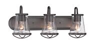 Darby 3-Light Bathroom Vanity Light Bar in Weathered Iron