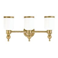 Hudson Valley Chatham 3 Light Bathroom Vanity Light in Aged Brass