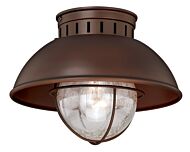 Harwich 1-Light Outdoor Flush Mount in Burnished Bronze