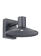 Tech Ash 10 Inch Outdoor Wall Light in Charcoal