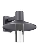 Tech Ash 14 Inch Outdoor Wall Light in Charcoal