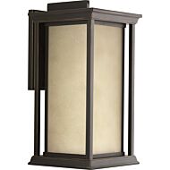 Endicott 1-Light Wall Lantern in Antique Bronze