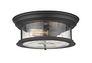 Z-Lite Sonna 2-Light Flush Mount Ceiling Light In Matte Black