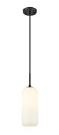 Z-Lite Monty 1-Light Pendant Light In Matte Black