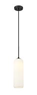 Z-Lite Monty 1-Light Pendant Light In Matte Black