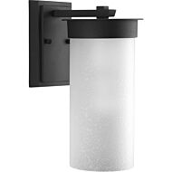 Hawthorne 1-Light Wall Lantern in Black