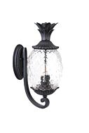 Lanai 3-Light Wall Sconce in Matte Black