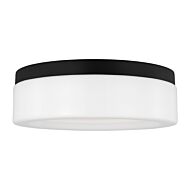 Rhett 1-Light LED Flush Mount in Midnight Black