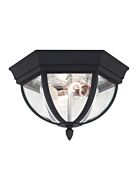 Sea Gull Wynfield 2 Light Outdoor Ceiling Light in Black