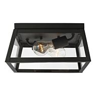 Founders 2-Light Outdoor Flush Mount Ceiling Light in Black