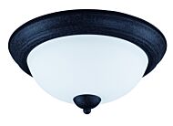 Two Light Flush Mount