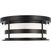 Sea Gull Wilburn 2 Light Outdoor Ceiling Light in Black