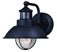 Harwich 1-Light Motion Sensor Outdoor Wall Light in Textured Black