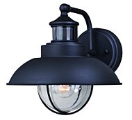 Harwich 1-Light Motion Sensor Outdoor Wall Light in Textured Black