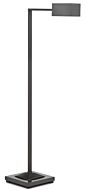 Ruxley 1-Light Floor Lamp in Oil Rubbed Bronze