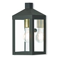 Nyack 1-Light Outdoor Wall Lantern in Bronze w with Antique Brass Cluster and Polished Chrome Stainless Steel