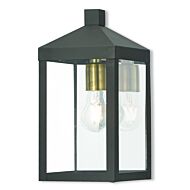 Nyack 1-Light Outdoor Wall Lantern in Bronze w with Antique Brass Cluster and Polished Chrome Stainless Steel