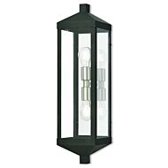 Nyack 2-Light Outdoor Wall Lantern in Black w with Brushed Nickel Cluster and Polished Chrome Stainless Steel