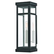 Hopewell 1-Light Outdoor Wall Lantern in Black w with Brushed Nickel Cluster and Polished Chrome Stainless Steel