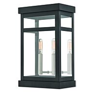 Hopewell 2-Light Outdoor Wall Lantern in Black w with Brushed Nickel Cluster and Polished Chrome Stainless Steel
