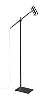 Z-Lite Calumet 1-Light Floor Lamp Light In Matte Black With Polished Nickel